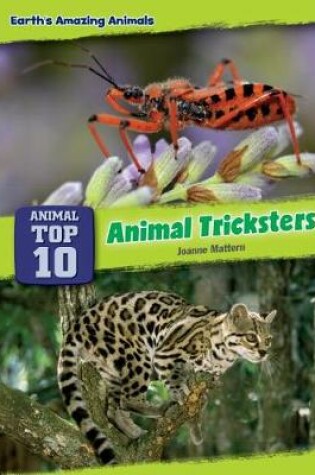 Cover of Animal Tricksters