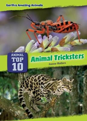 Cover of Animal Tricksters