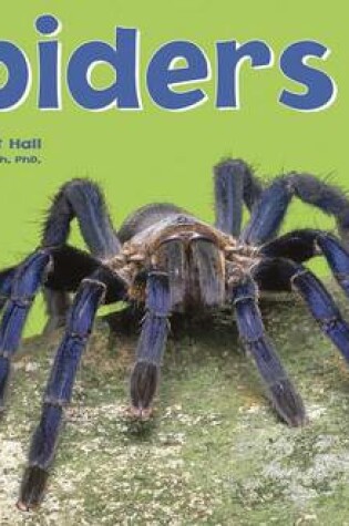 Cover of Spiders