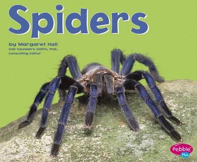 Cover of Spiders