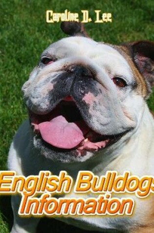 Cover of English Bulldogs Information