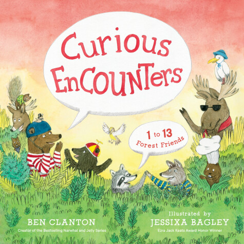 Book cover for Curious Encounters