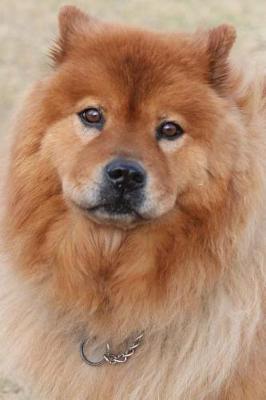 Book cover for Cute Chow Chow Dog Journal