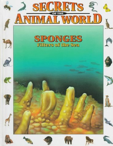 Book cover for Sponges