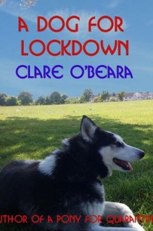 Cover of A Dog For Lockdown