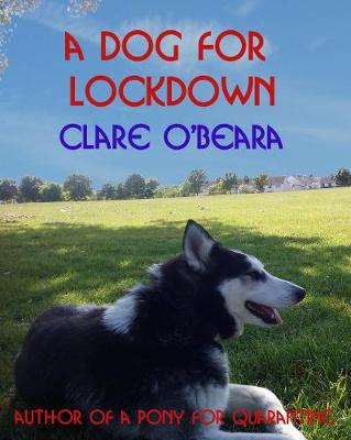 Book cover for A Dog For Lockdown