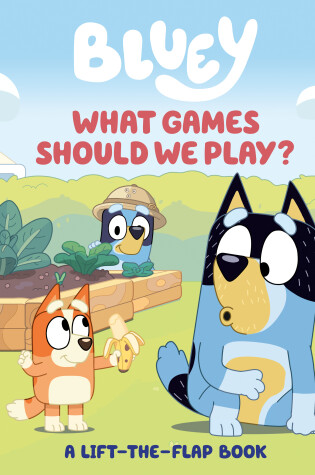 Cover of What Games Should We Play?