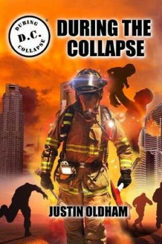 Cover of During the Collapse