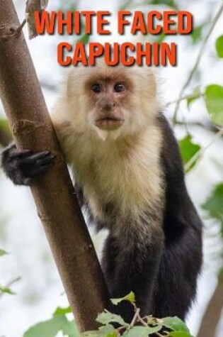 Cover of White Faced Capuchin