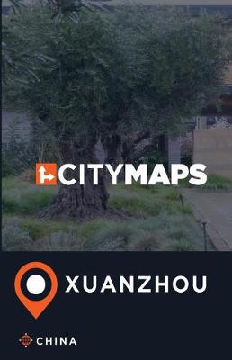 Book cover for City Maps Xuanzhou China