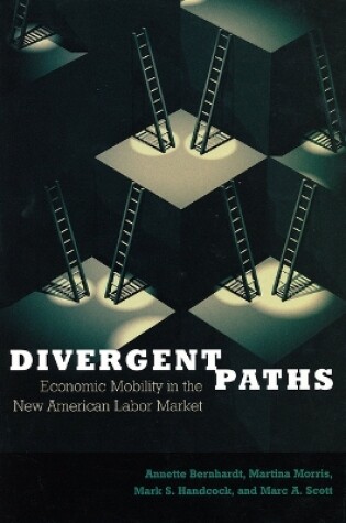 Cover of Divergent Paths