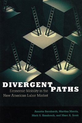 Book cover for Divergent Paths