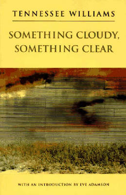 Book cover for Something Cloudy, Something Clear