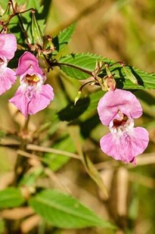 Cover of Impatiens Balsamina Balsam Flowers Blooming in a Field Journal