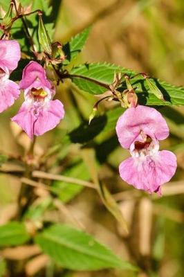 Book cover for Impatiens Balsamina Balsam Flowers Blooming in a Field Journal