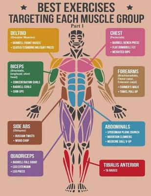 Book cover for Best Exercise Targeting Each Muscle Group