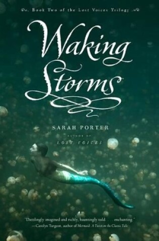 Cover of Waking Storms: Lost Voice Book 2