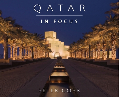 Book cover for Qatar in Focus