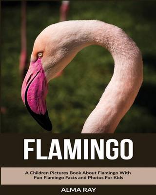 Book cover for Flamingo