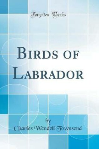 Cover of Birds of Labrador (Classic Reprint)