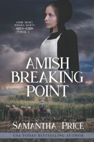 Cover of Amish Breaking Point
