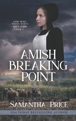 Book cover for Amish Breaking Point