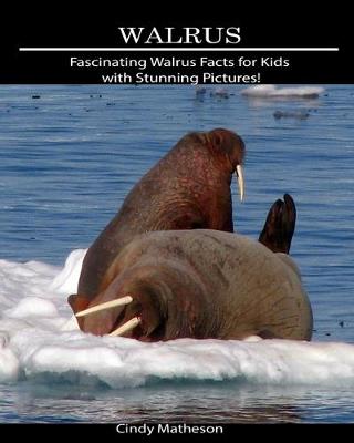 Book cover for Walrus