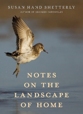 Book cover for Notes on the Landscape of Home