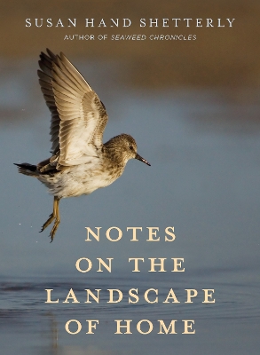Book cover for Notes on the Landscape of Home