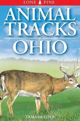 Cover of Animal Tracks of Ohio