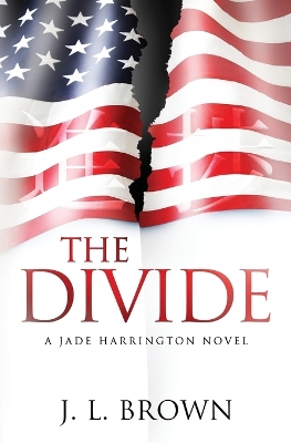 Book cover for The Divide