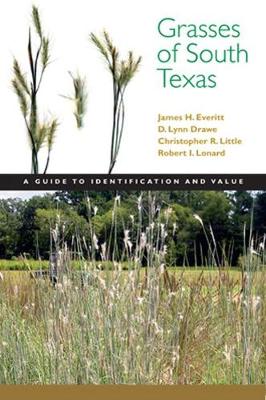 Book cover for Grasses of South Texas