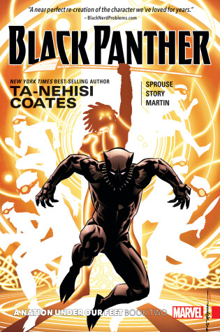 Cover of BLACK PANTHER: A NATION UNDER OUR FEET BOOK 2