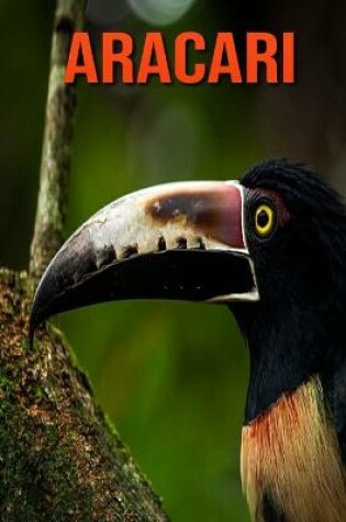 Cover of Aracari