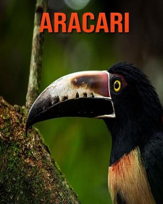 Book cover for Aracari