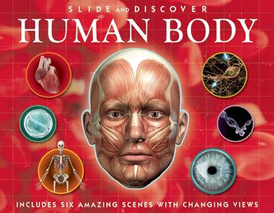 Book cover for Slide and Discover: Human Body