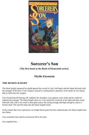Cover of Sorcerer's Son
