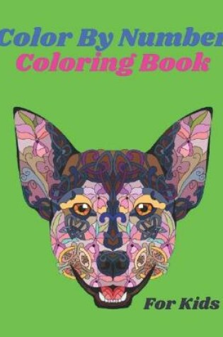 Cover of Color By Number Coloring Book For Kids