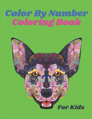 Book cover for Color By Number Coloring Book For Kids