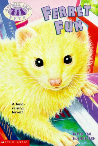 Book cover for Ferret Fun