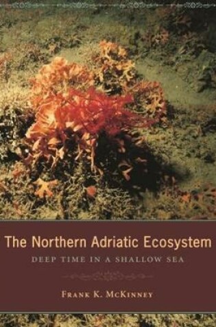 Cover of The Northern Adriatic Ecosystem