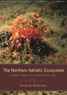 Cover of The Northern Adriatic Ecosystem