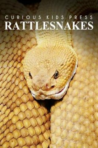 Cover of Rattle Snakes - Curious Kids Press
