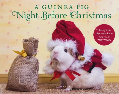 Book cover for A Guinea Pig Night Before Christmas