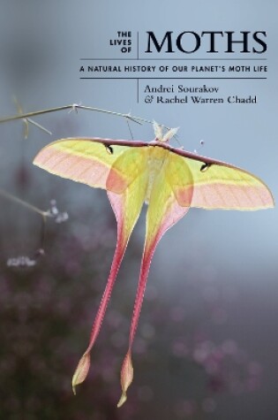 Cover of The Lives of Moths