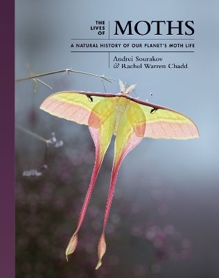 Book cover for The Lives of Moths