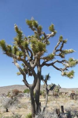 Book cover for Joshua Tree Journal