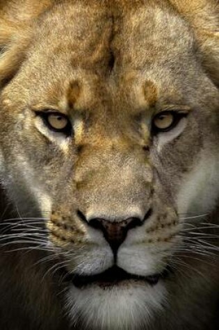 Cover of Website Password Organizer, Close Up of a Female Lion