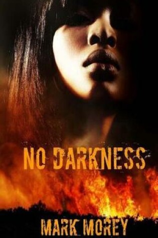 Cover of No Darkness