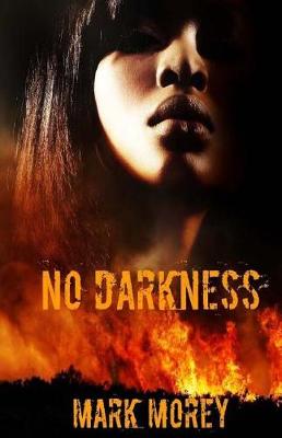 Book cover for No Darkness